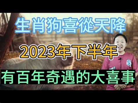 2023屬狗買房